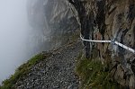 28- Scendendo, poco dopo il rifugio Curò